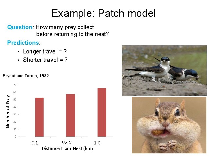 Example: Patch model Question: How many prey collect before returning to the nest? Predictions: