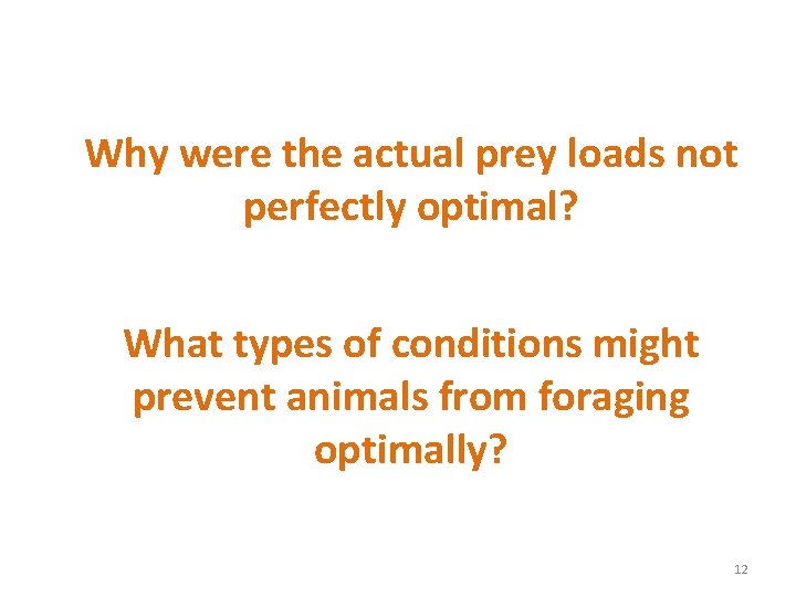 Why were the actual prey loads not perfectly optimal? What types of conditions might