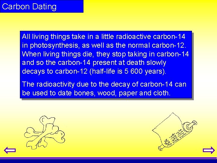 Carbon Dating All living things take in a little radioactive carbon-14 in photosynthesis, as