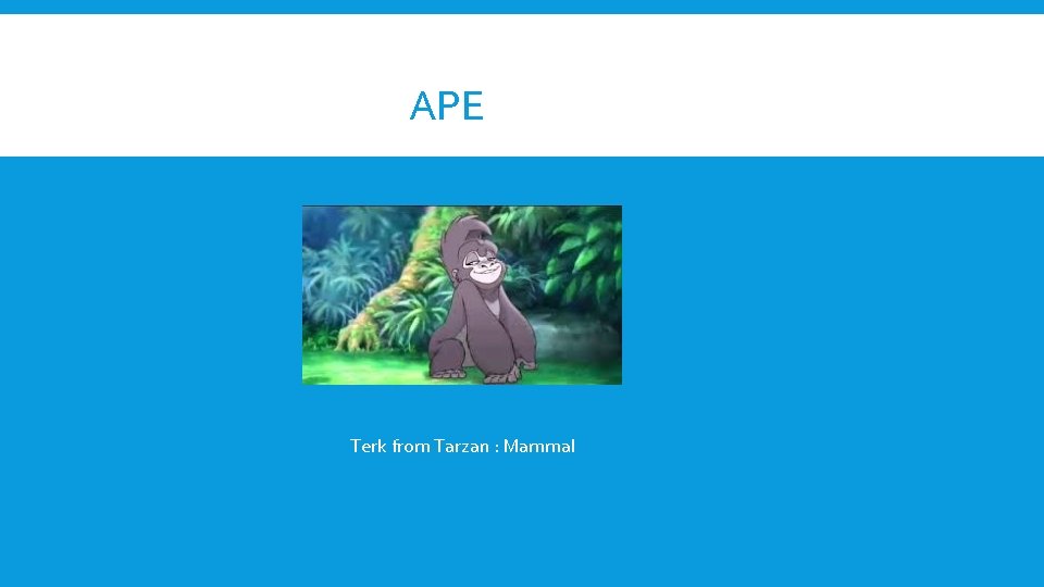 APE Terk from Tarzan : Mammal 