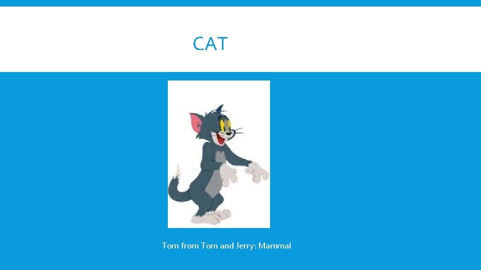 CAT Tom from Tom and Jerry: Mammal 