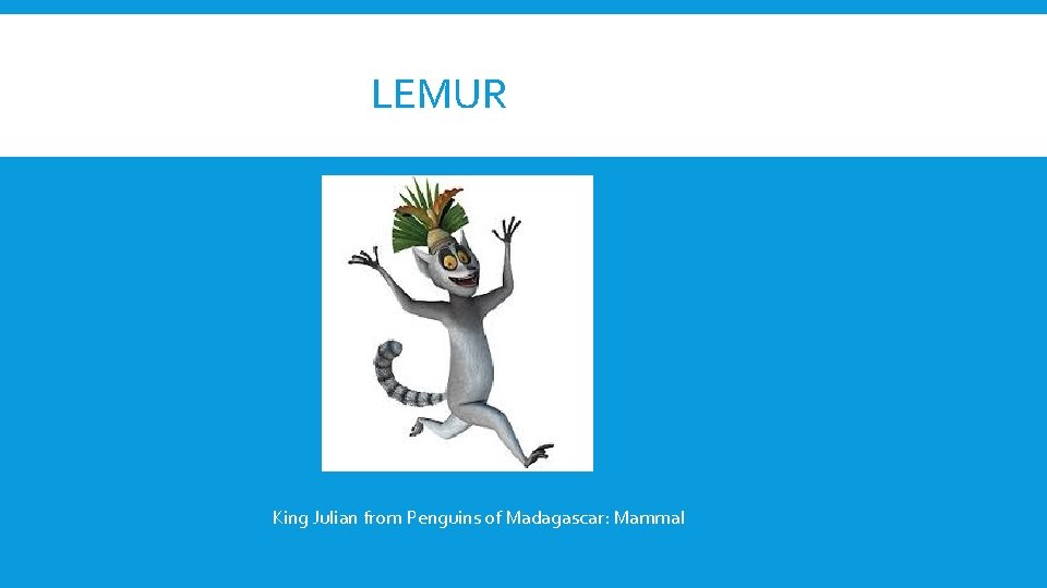 LEMUR King Julian from Penguins of Madagascar: Mammal 