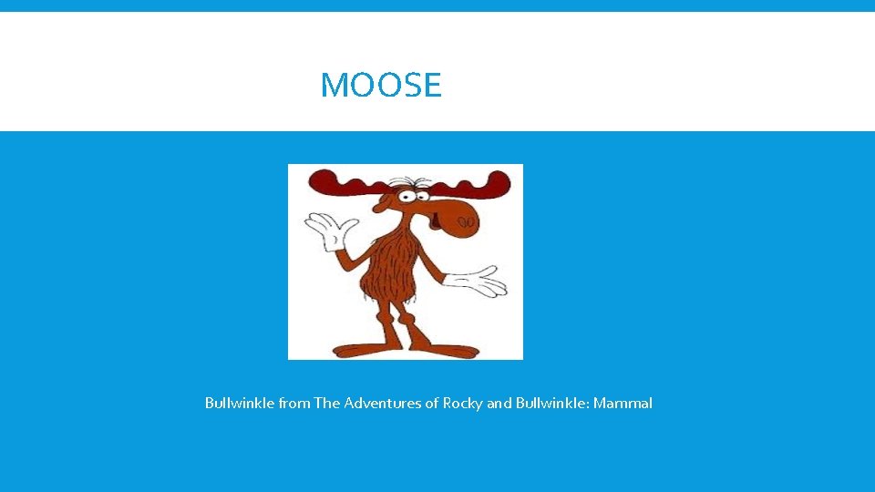 MOOSE Bullwinkle from The Adventures of Rocky and Bullwinkle: Mammal 