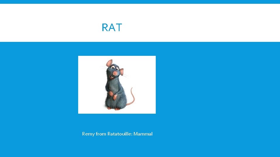 RAT Remy from Ratatouille: Mammal 