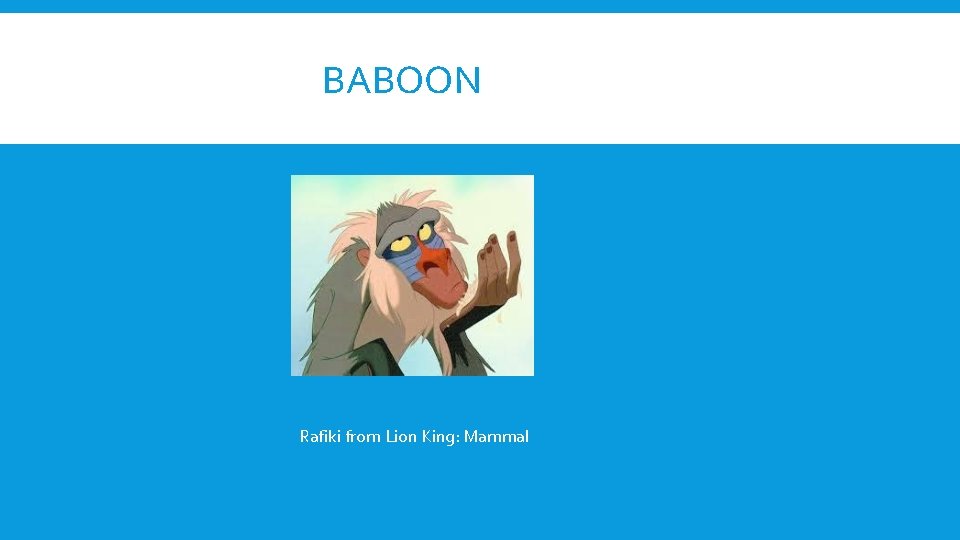 BABOON Rafiki from Lion King: Mammal 