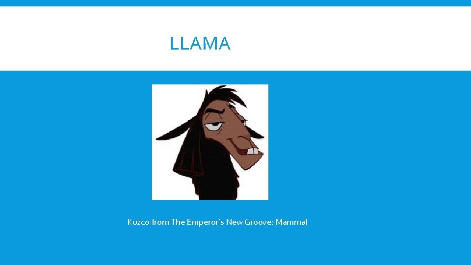 LLAMA Kuzco from The Emperor’s New Groove: Mammal 