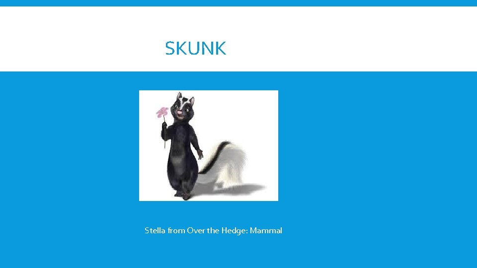 SKUNK Stella from Over the Hedge: Mammal 