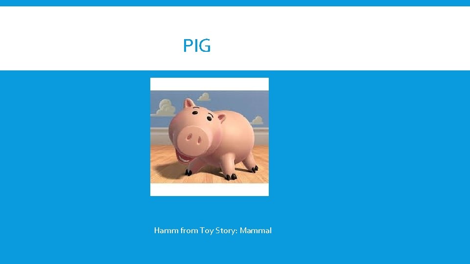 PIG Hamm from Toy Story: Mammal 