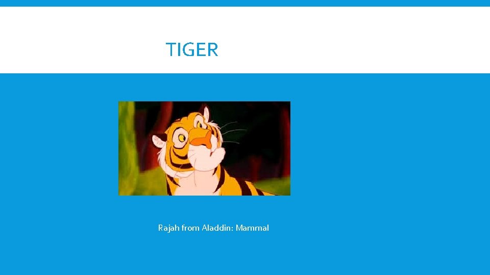 TIGER Rajah from Aladdin: Mammal 