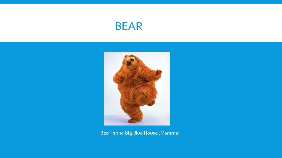 BEAR Bear in the Big Blue House : Mammal 