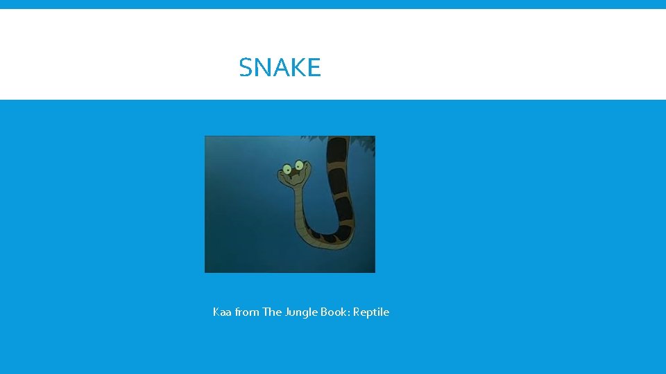 SNAKE Kaa from The Jungle Book: Reptile 