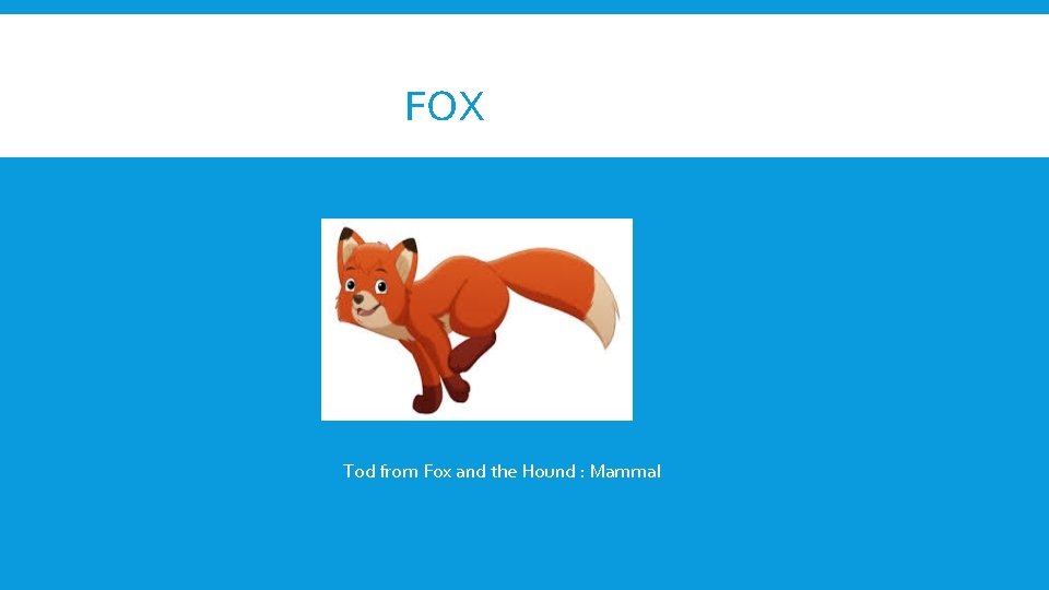 FOX Tod from Fox and the Hound : Mammal 