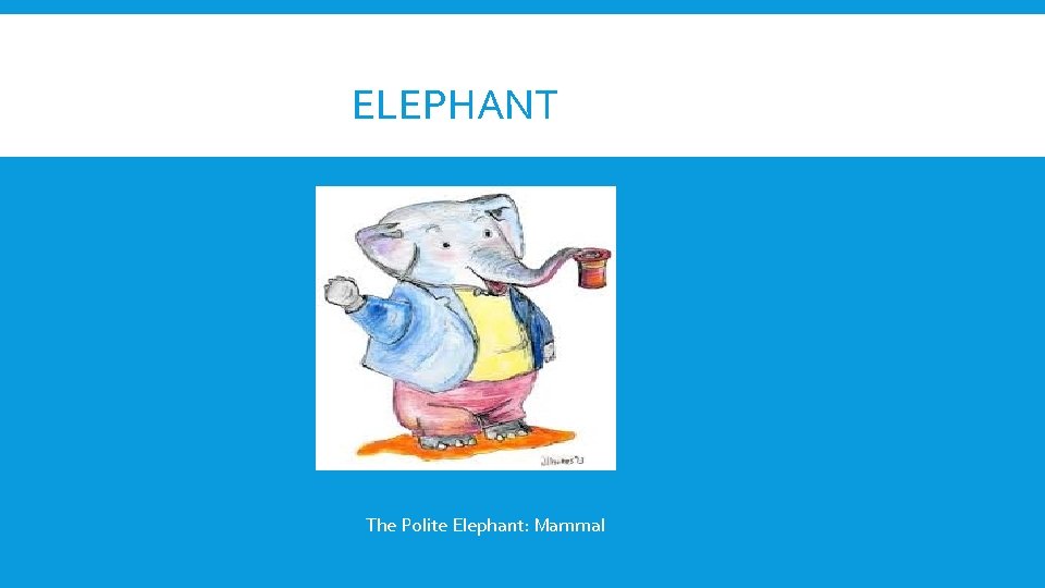 ELEPHANT The Polite Elephant: Mammal 