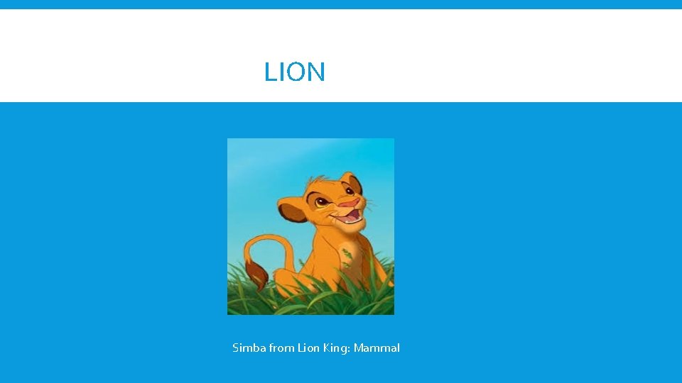 LION Simba from Lion King: Mammal 