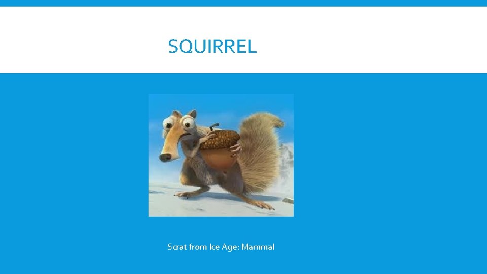 SQUIRREL Scrat from Ice Age: Mammal 