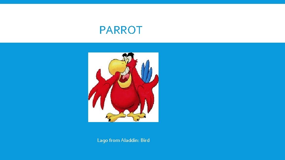 PARROT Lago from Aladdin: Bird 