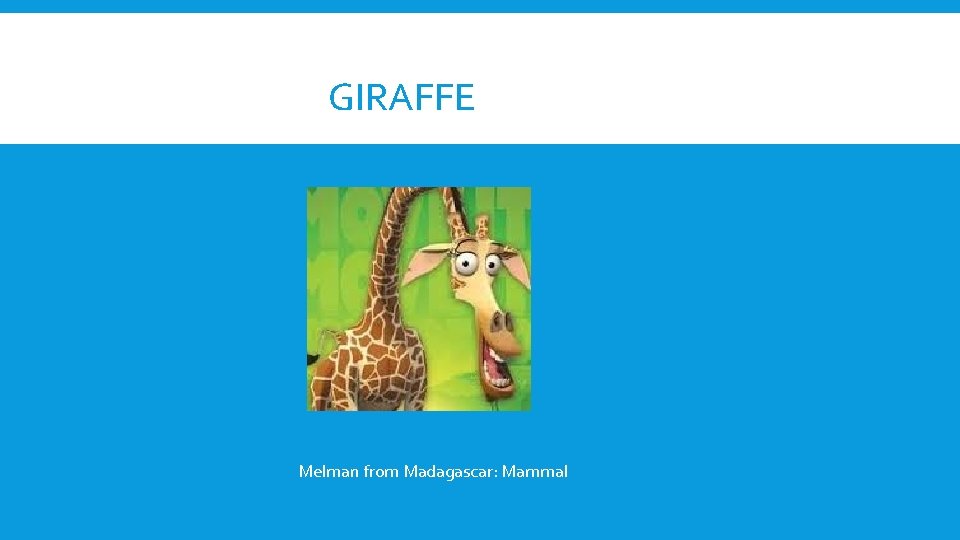 GIRAFFE Melman from Madagascar: Mammal 