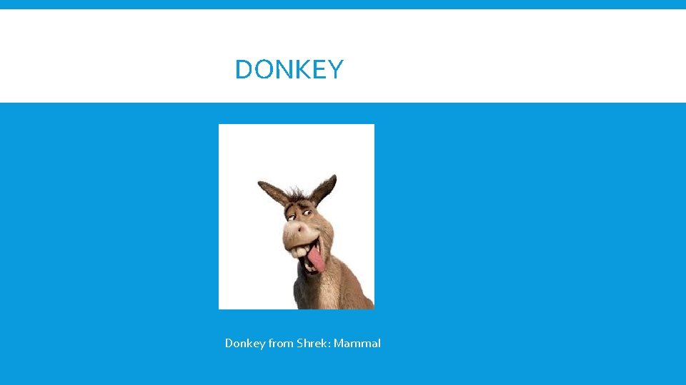DONKEY Donkey from Shrek: Mammal 