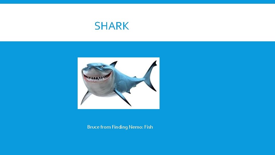 SHARK Bruce from Finding Nemo: Fish 