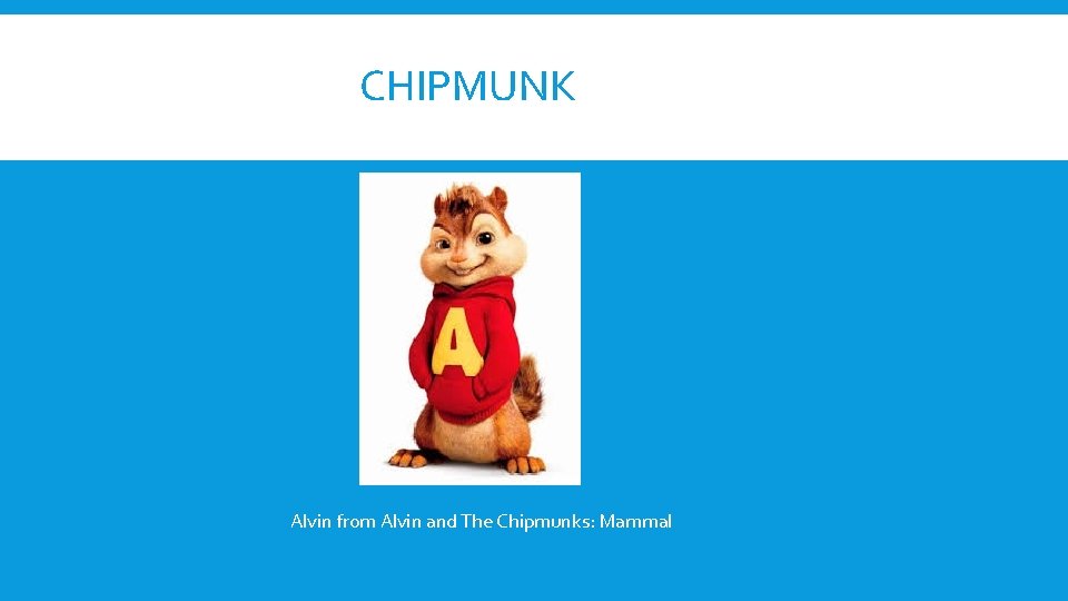 CHIPMUNK Alvin from Alvin and The Chipmunks: Mammal 