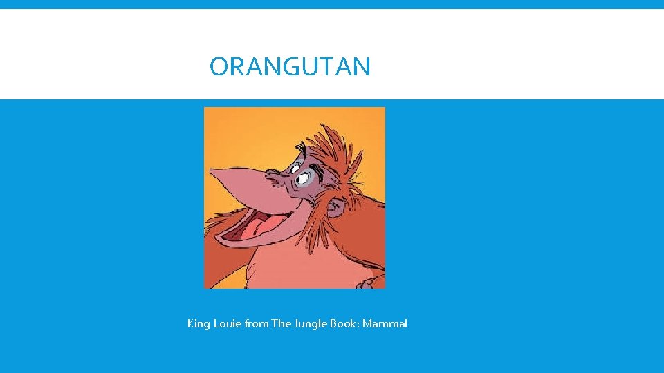 ORANGUTAN King Louie from The Jungle Book: Mammal 