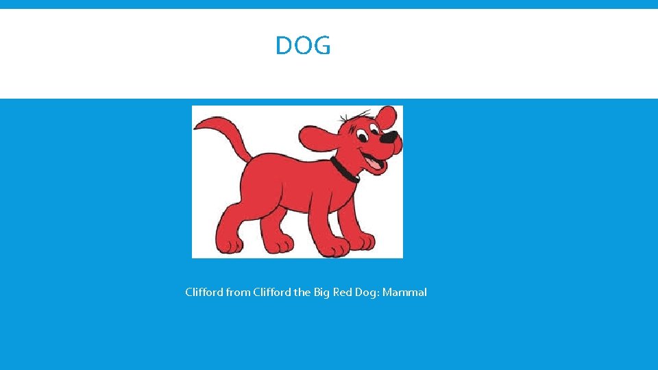 DOG Clifford from Clifford the Big Red Dog: Mammal 