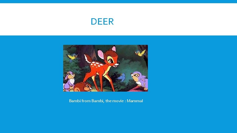 DEER Bambi from Bambi, the movie : Mammal 