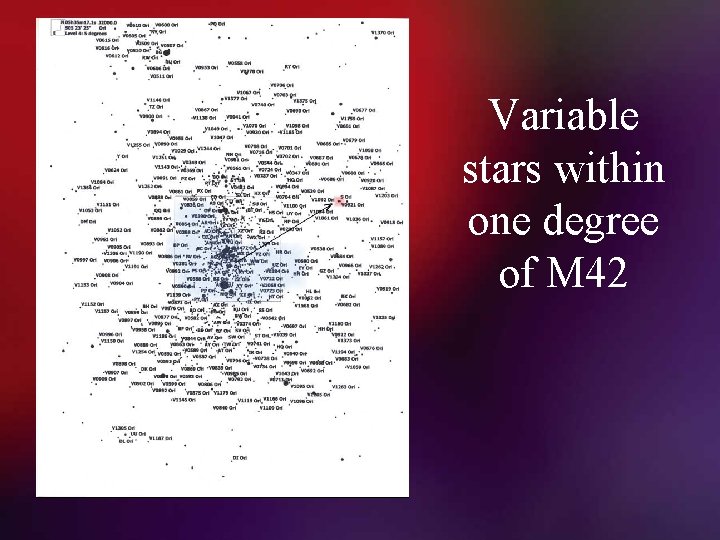 Variable stars within one degree of M 42 