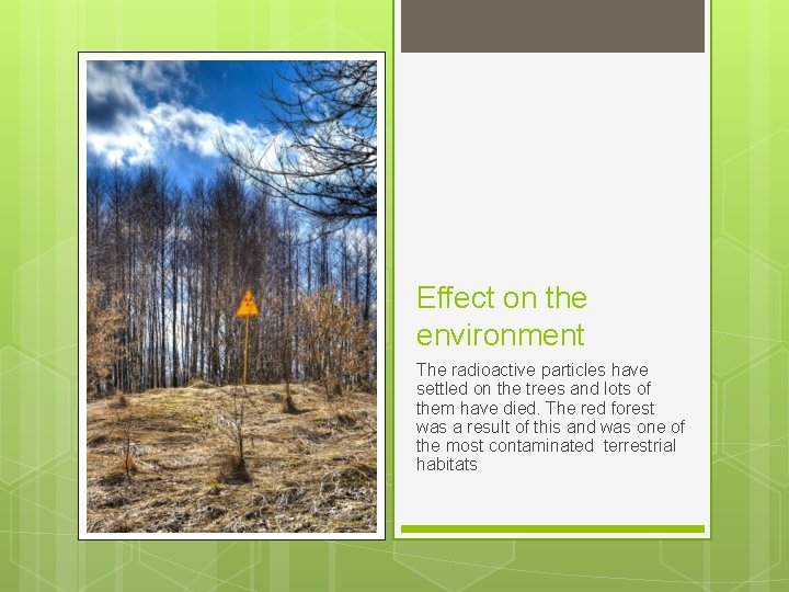 Effect on the environment The radioactive particles have settled on the trees and lots