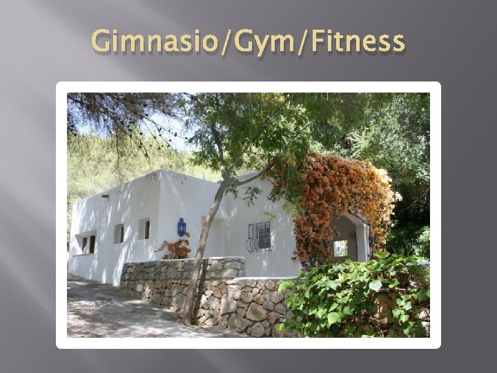 Gimnasio/Gym/Fitness 