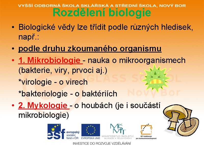 Rozdělení biologie • Biologické vědy lze třídit podle různých hledisek, např. : • podle