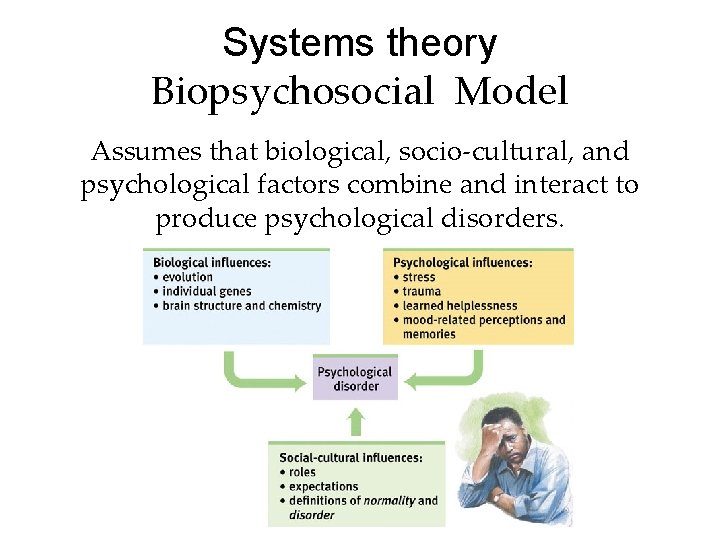 Systems theory Biopsychosocial Model Assumes that biological, socio-cultural, and psychological factors combine and interact