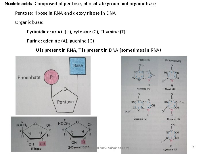 Nucleic acids: Composed of pentose, phosphate group and organic base Pentose: ribose in RNA
