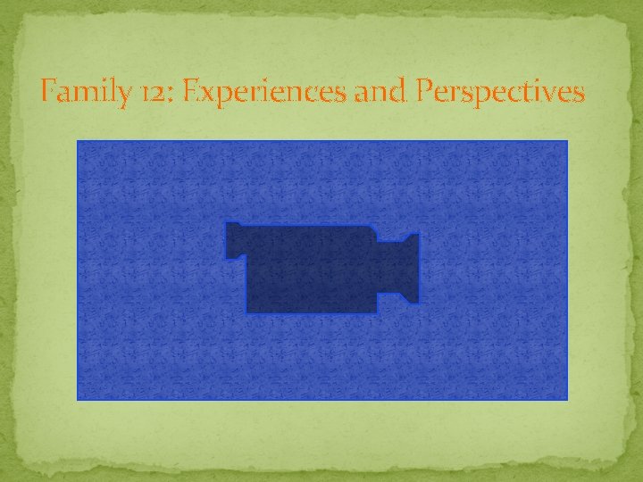 Family 12: Experiences and Perspectives 