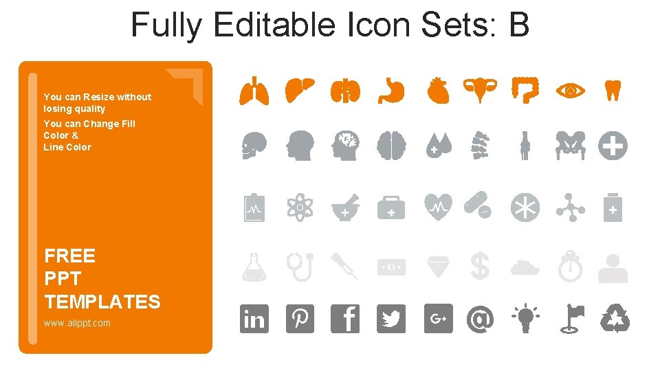 Fully Editable Icon Sets: B You can Resize without losing quality You can Change