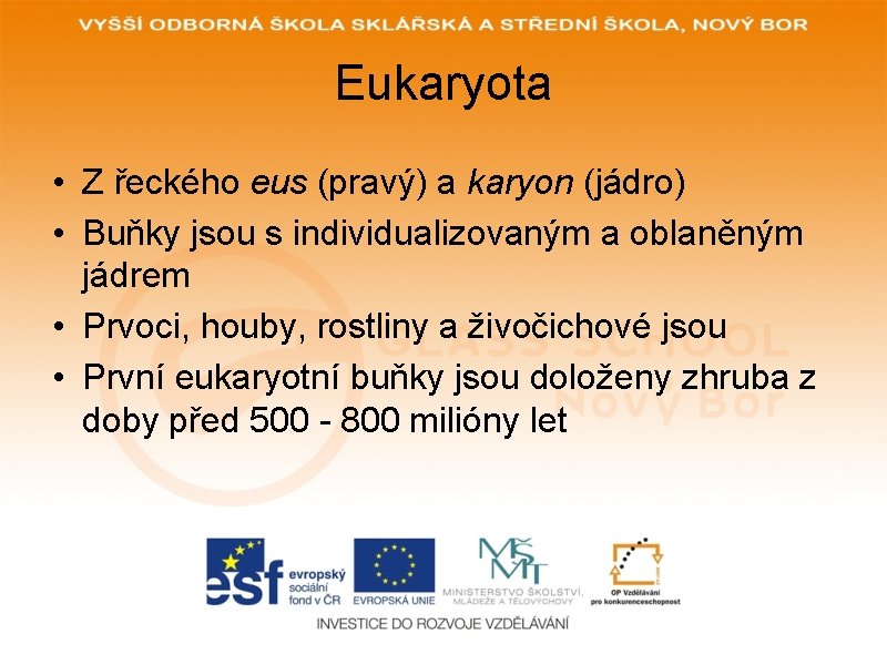 Eukaryota • Z řeckého eus (pravý) a karyon (jádro) • Buňky jsou s individualizovaným