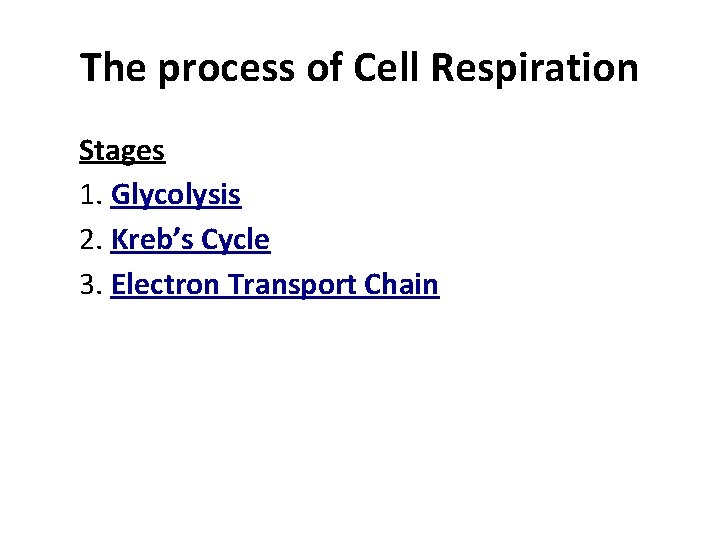 The process of Cell Respiration Stages 1. Glycolysis 2. Kreb’s Cycle 3. Electron Transport