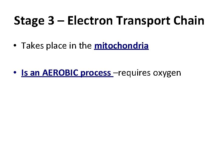 Stage 3 – Electron Transport Chain • Takes place in the mitochondria • Is