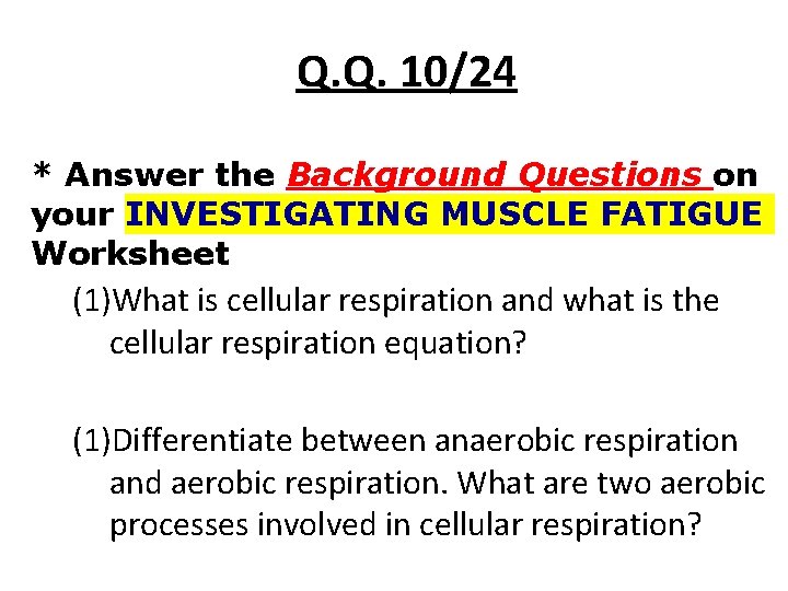Q. Q. 10/24 * Answer the Background Questions on your INVESTIGATING MUSCLE FATIGUE Worksheet