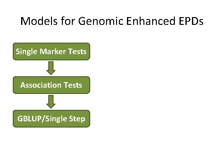 Models for Genomic Enhanced EPDs Single Marker Tests Association Tests GBLUP/Single Step 