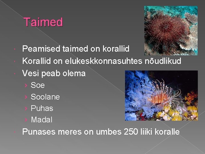 Taimed Peamised taimed on korallid Korallid on elukeskkonnasuhtes nõudlikud Vesi peab olema › ›