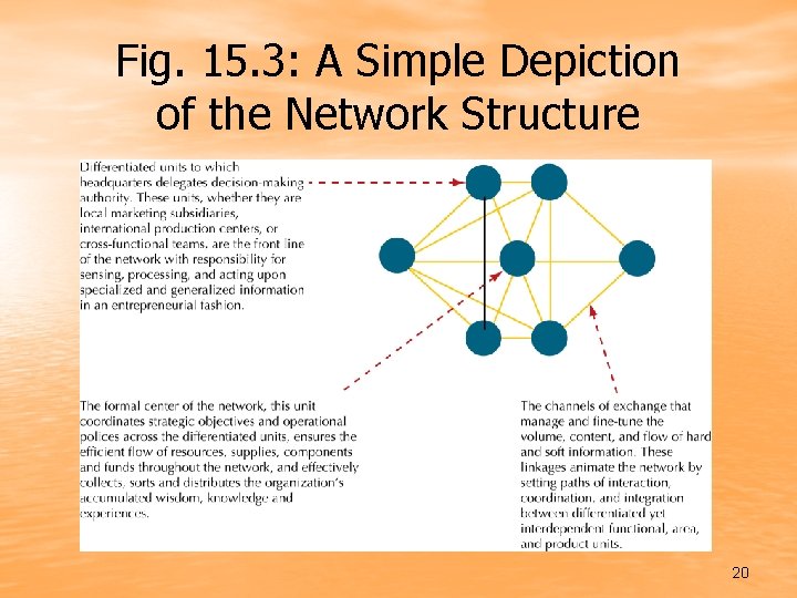 Fig. 15. 3: A Simple Depiction of the Network Structure 20 