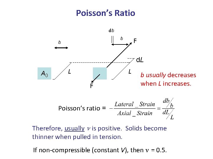 Poisson’s Ratio db b b F d. L A 0 L L F b