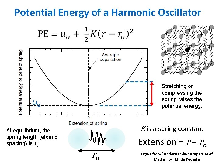 Potential Energy of a Harmonic Oscillator Stretching or compressing the spring raises the potential