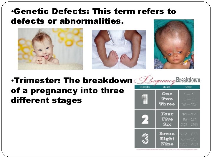 • Genetic Defects: This term refers to defects or abnormalities. • Trimester: The