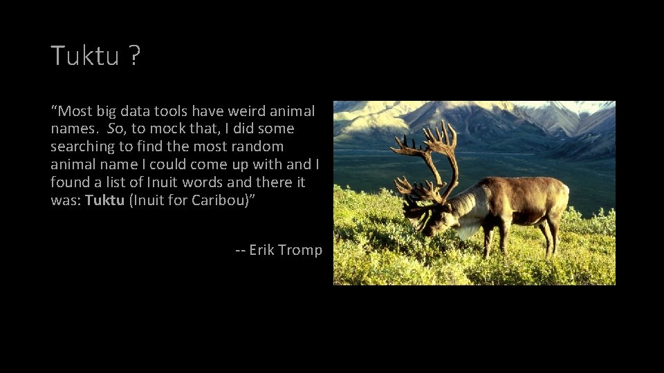 Tuktu ? “Most big data tools have weird animal names. So, to mock that,