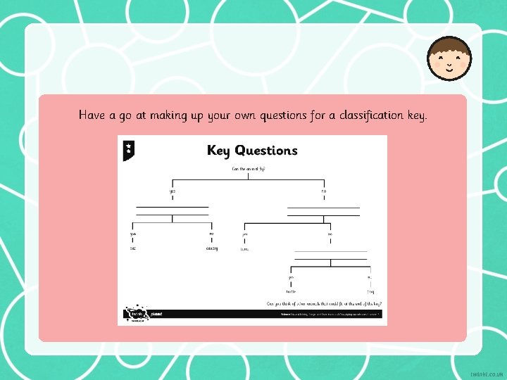 Have a go at making up your own questions for a classification key. 