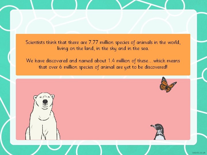 Scientists think that there are 7. 77 million species of animals in the world,