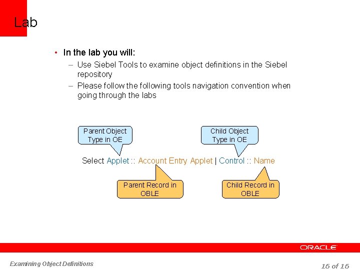 Lab • In the lab you will: – Use Siebel Tools to examine object