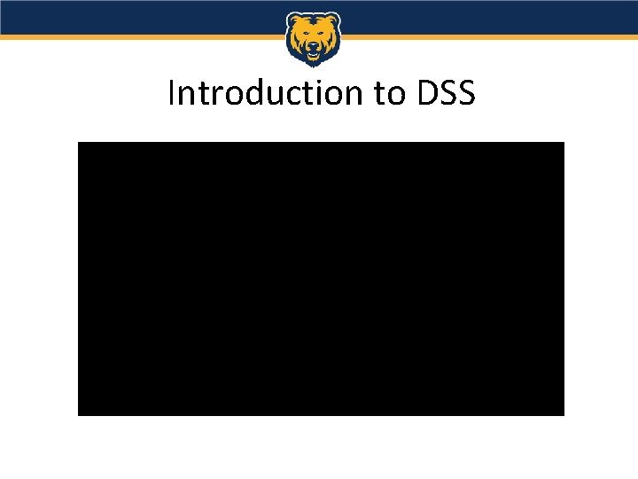Introduction to DSS 